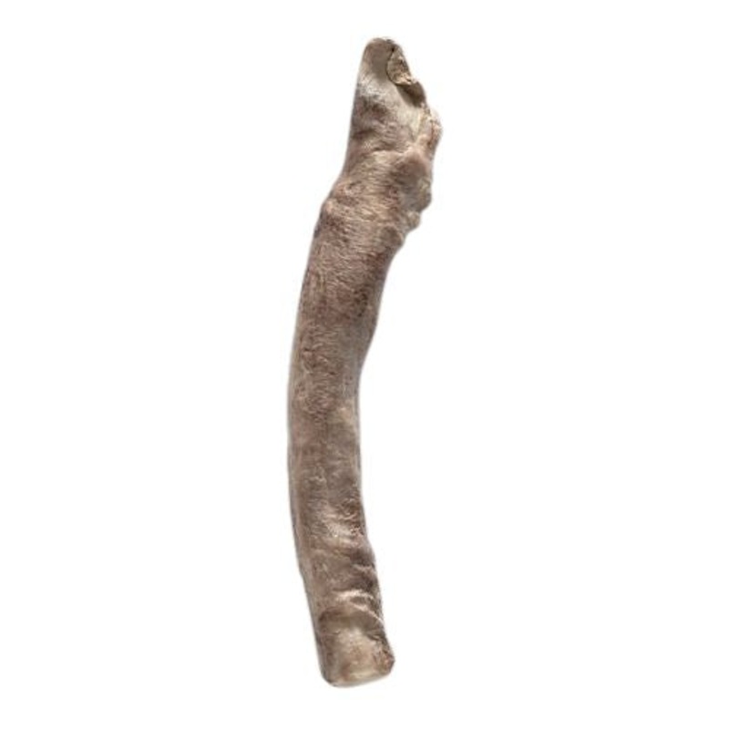 Bones & Co Freeze Dried Bully Sticks Dog Treats 35 Ct