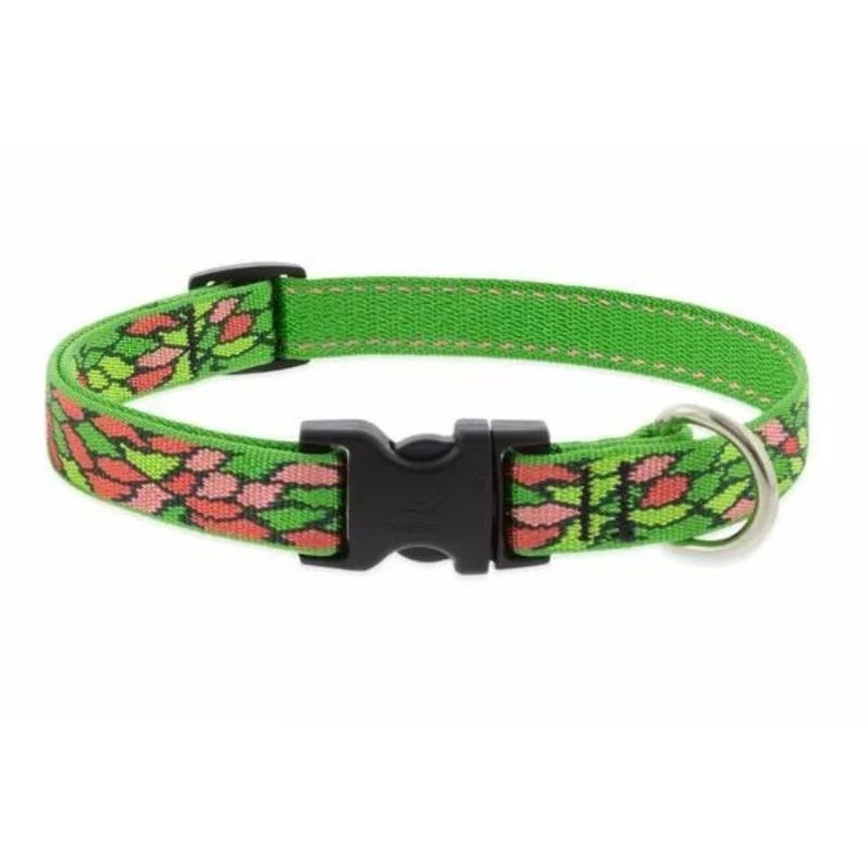 Lupine Dog Collar Adjustable 3/4 x 13-22 Tiffany