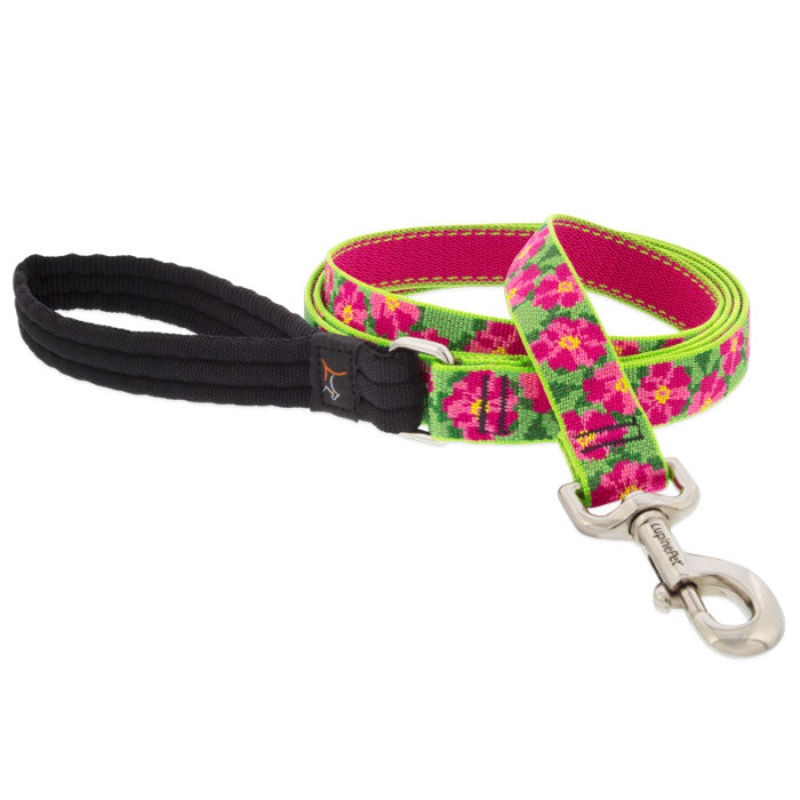 Lupine Dog Leash 1 x 4′ Petunias