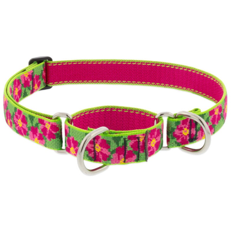 Lupine Martingale Collar for Training 1 x 19-27 Petunias