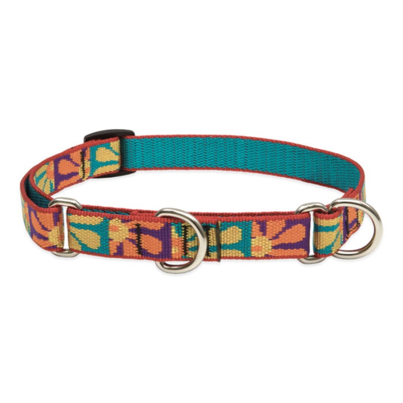 Lupine Martingale Collar for Training 3/4 x 10-14 Crazy Daisy