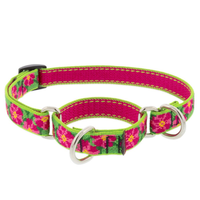 Lupine Martingale Collar for Training 3/4 x 10-14 Petunias