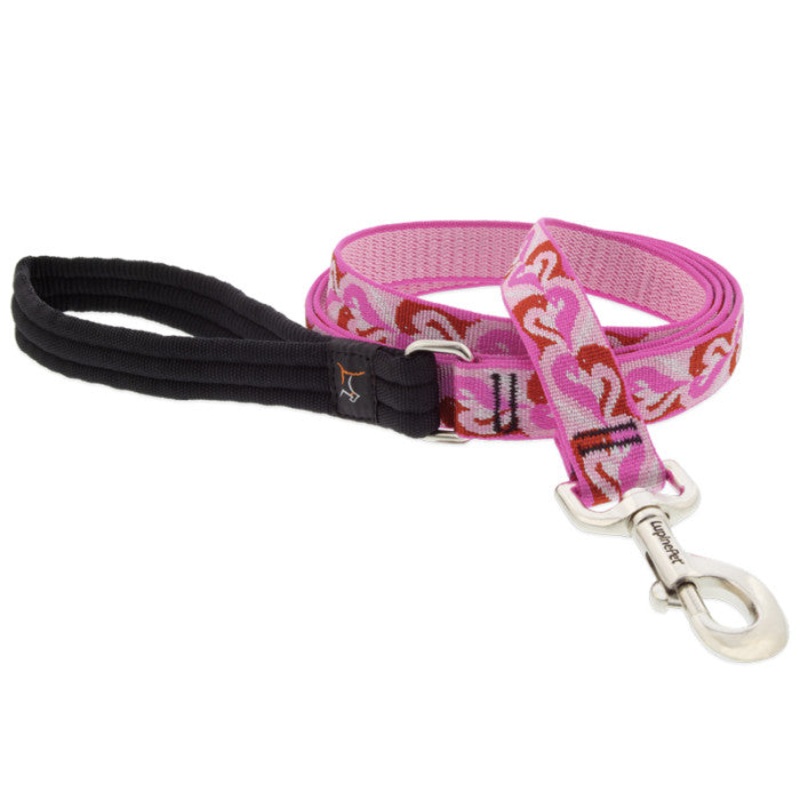Lupine MicroBatch Limited Designs Dog Leash 1 x 6′ Lovebirds