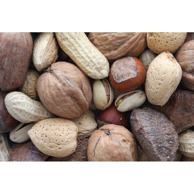 Higgins Sunburst Gourmet Treats Boca Nuts
