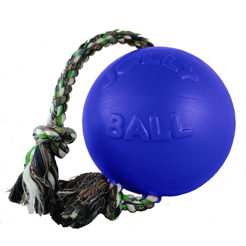 Jolly Pets Romp N Roll Blue Dog Toy