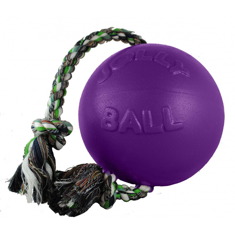 Jolly Pets Romp N Roll Purple Dog Toy
