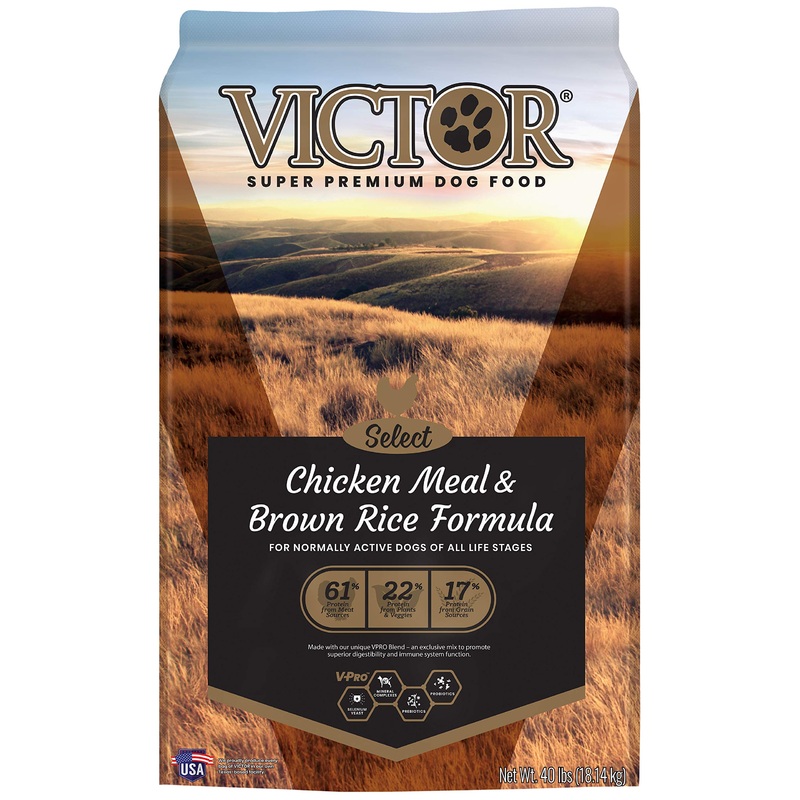 Victor Select Chicken Meal & Brown Rice Formula, Dry Dog Food 15 lbs