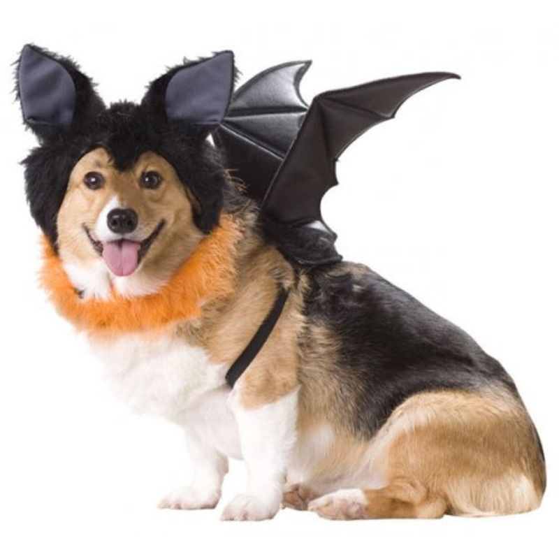 Animal Planet Bat Dog Costume