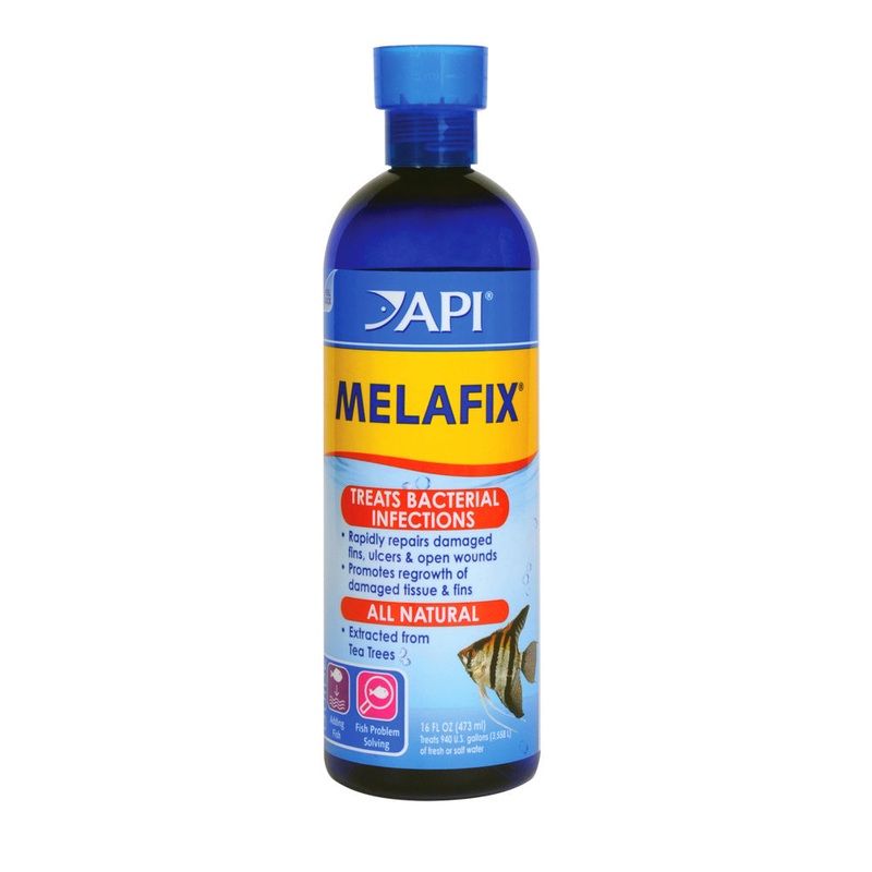 API Melafix Freshwater Fish Infection Remedy