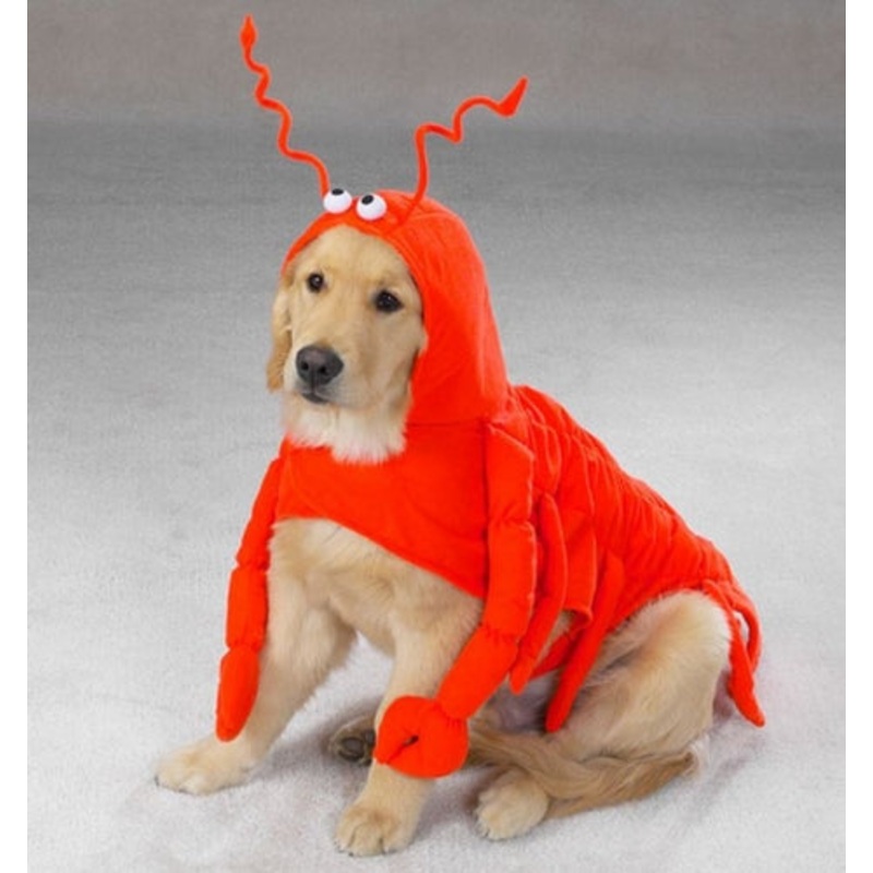 Lobster Paws Dog Costume