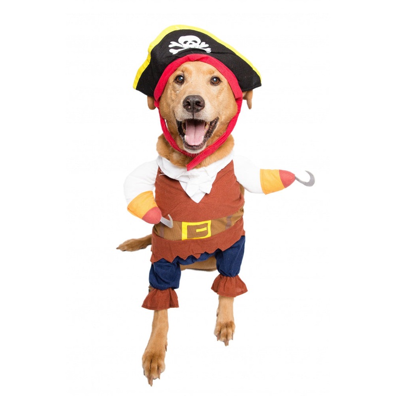 Pet Krewe Pirate Dog Costume