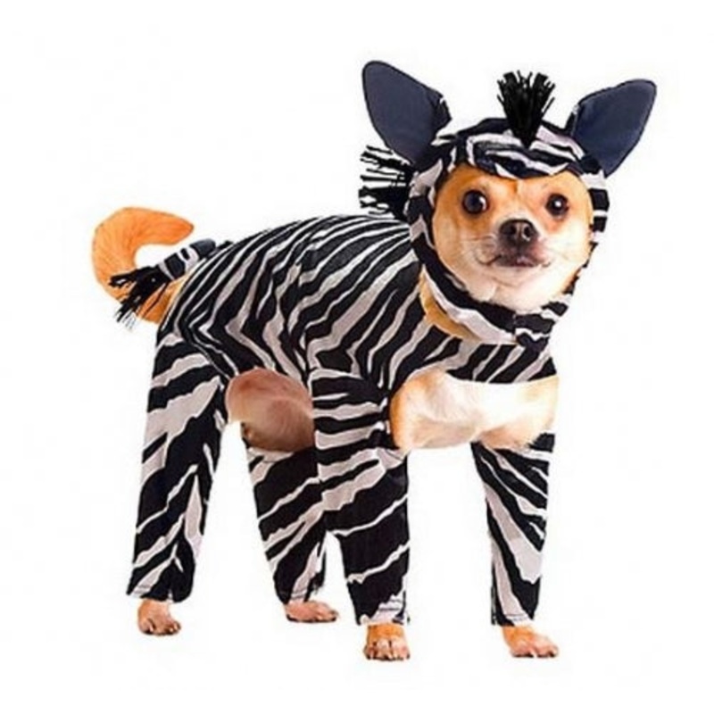 Animal Planet Zebra Dog Costume