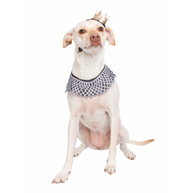Pet Krewe Notorious D.O.G Dog Costume