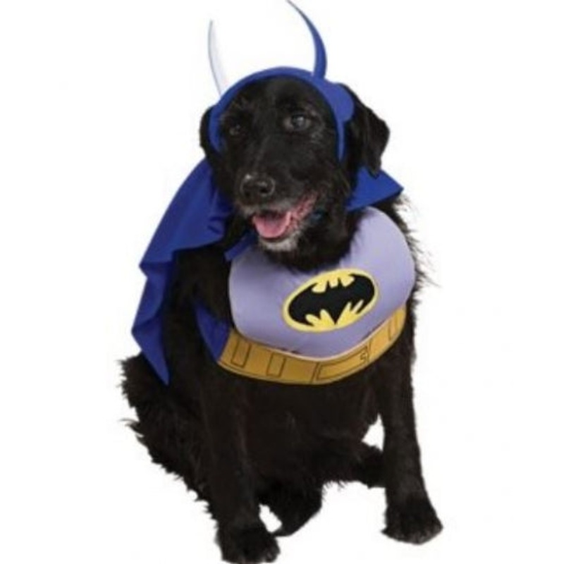 Rubies Pet Shop Batman Dog Costume