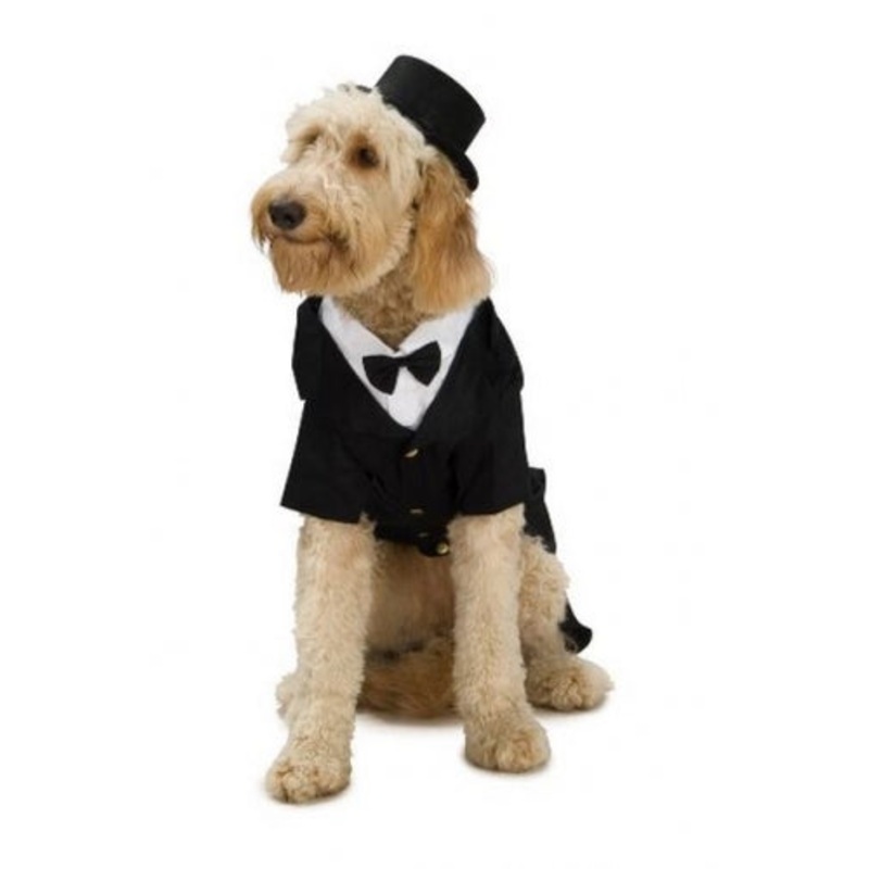 Rubies Pet Shop Dapper Dog Pet Halloween Costume