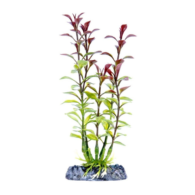 Penn-Plax Aquarium Decor Blooming Ludwigia Red