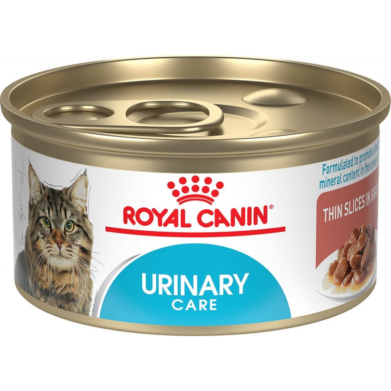 Royal Canin Feline Care Nutrition Urinary Care Thin Slices in Gravy Canned Cat Food