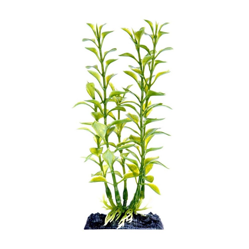 Penn-Plax Aquarium Decor Blooming Ludwigia Green
