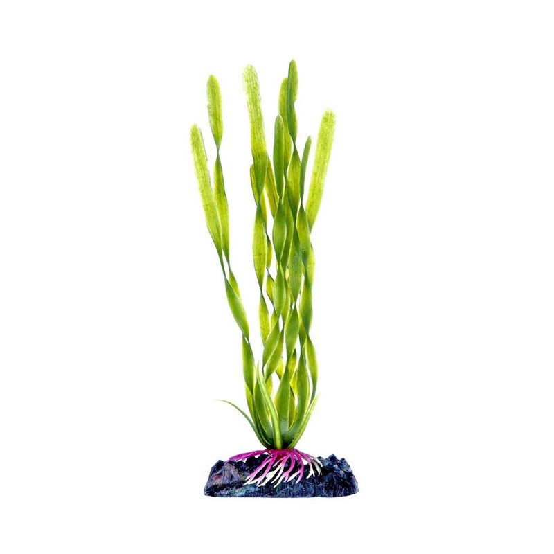 Penn-Plax Aquarium Decor Corkscrew Vallisneria Green