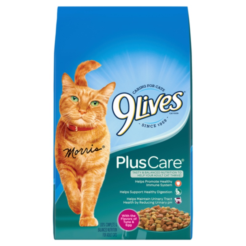 9 Lives Plus Care Formula Dry Cat Food