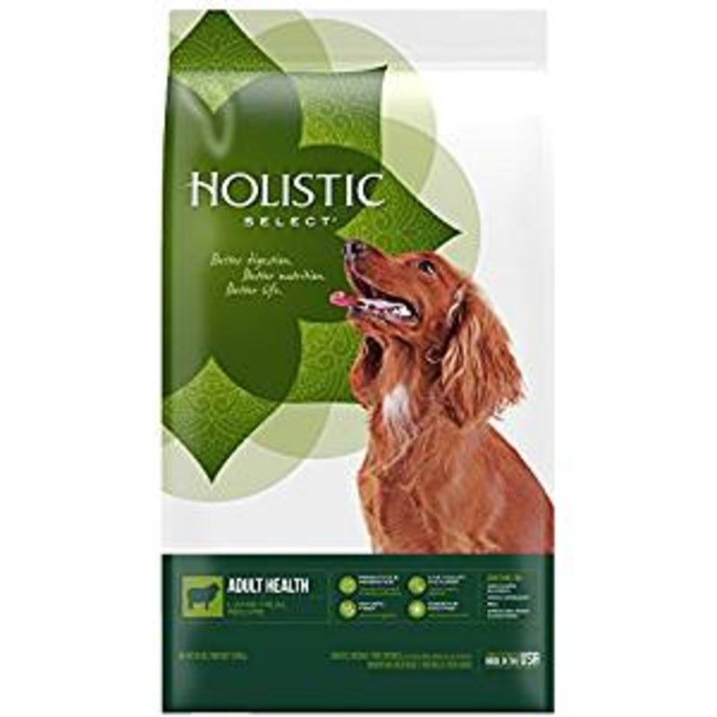 Holistic Select Adult Health Lamb Meal Recipe Dry Dog Food