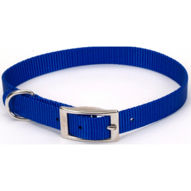 Coastal Pet Products Standard Nylon Medium Dog Collar
