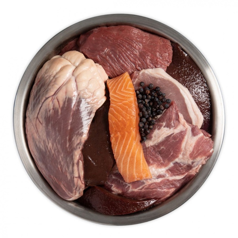ORIJEN Regional Red Grain-Free Dry Dog Food