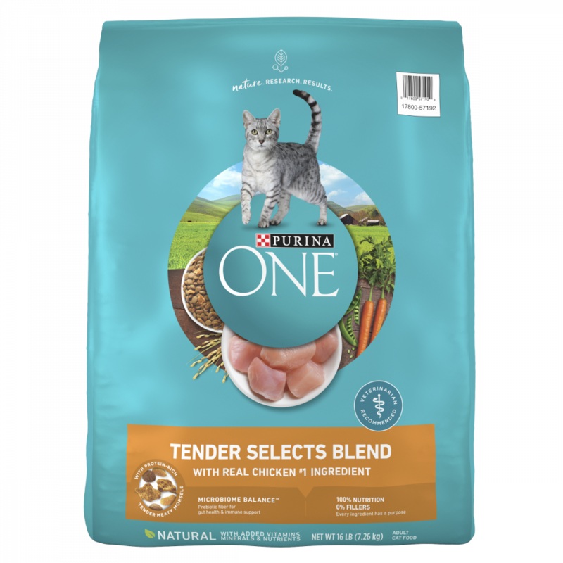 Purina ONE Tender Selects Blend Real Chicken Dry Cat Food