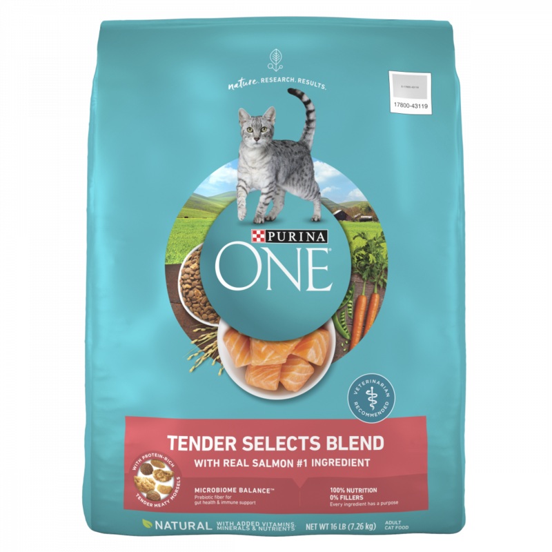 Purina ONE Tender Selects Blend Real Salmon Dry Cat Food