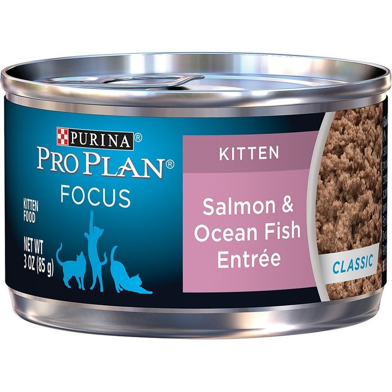 Purina Pro Plan Focus Kitten Classic Salmon & Ocean Fish Entree Canned Cat Food