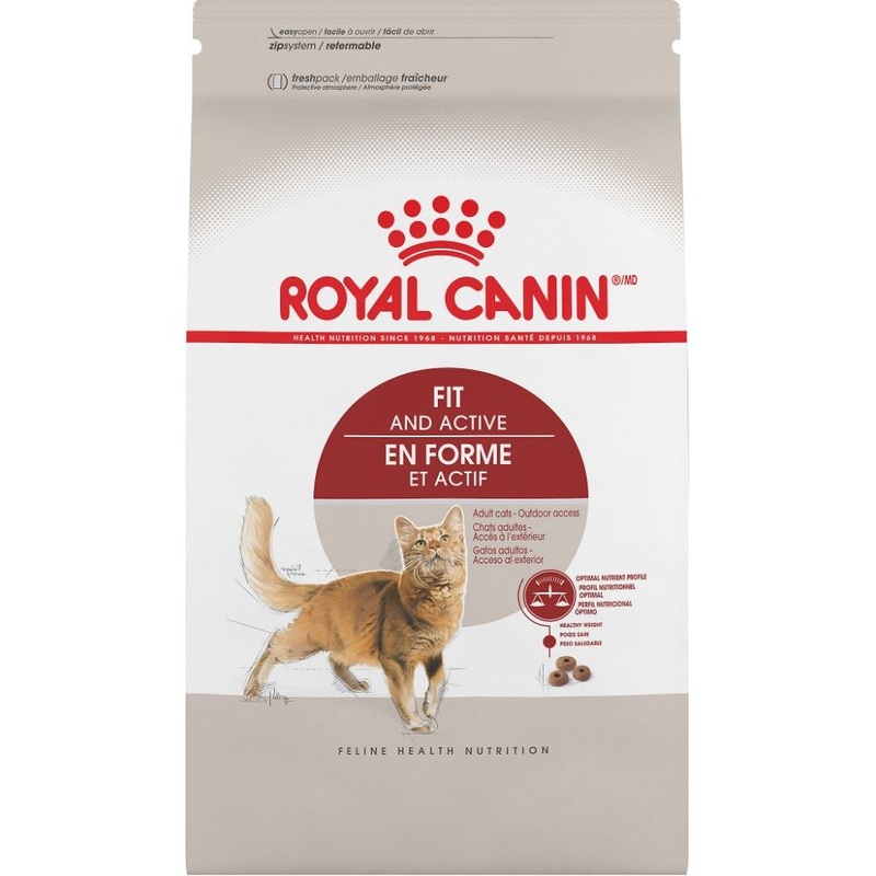 Royal Canin Feline Health Nutrition Adult Fit and Active Dry Cat Food