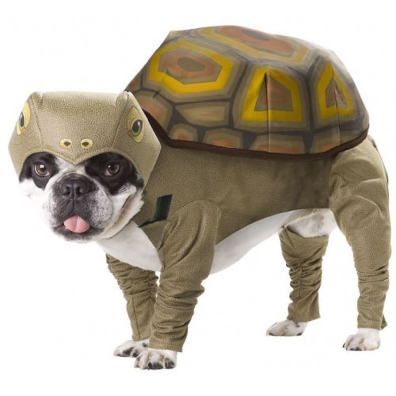 Animal Planet Tortoise Dog Costume