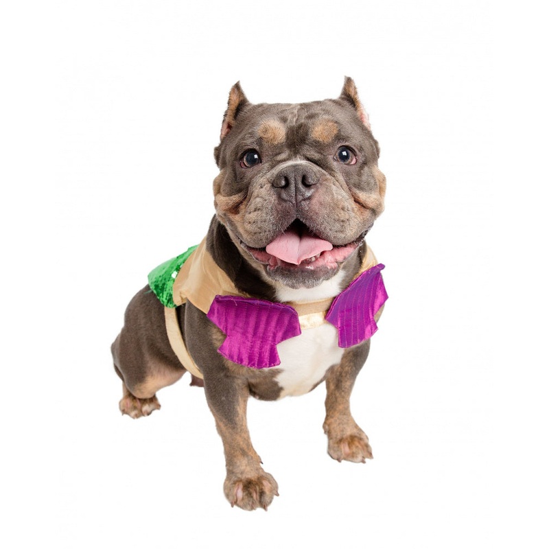 Pet Krewe Mermaid Dog Costume