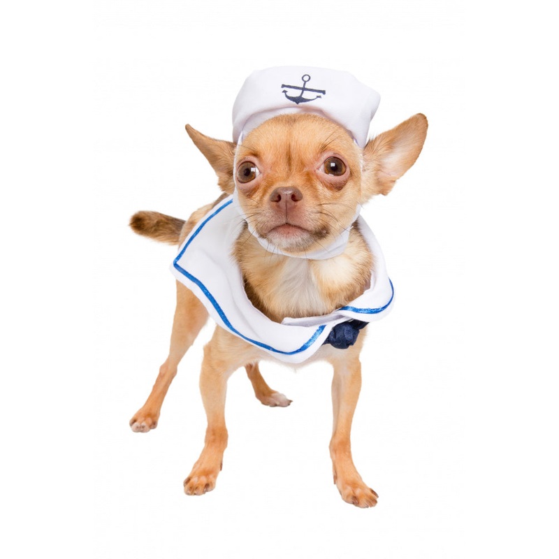 Pet Krewe Sailor Dog Costume