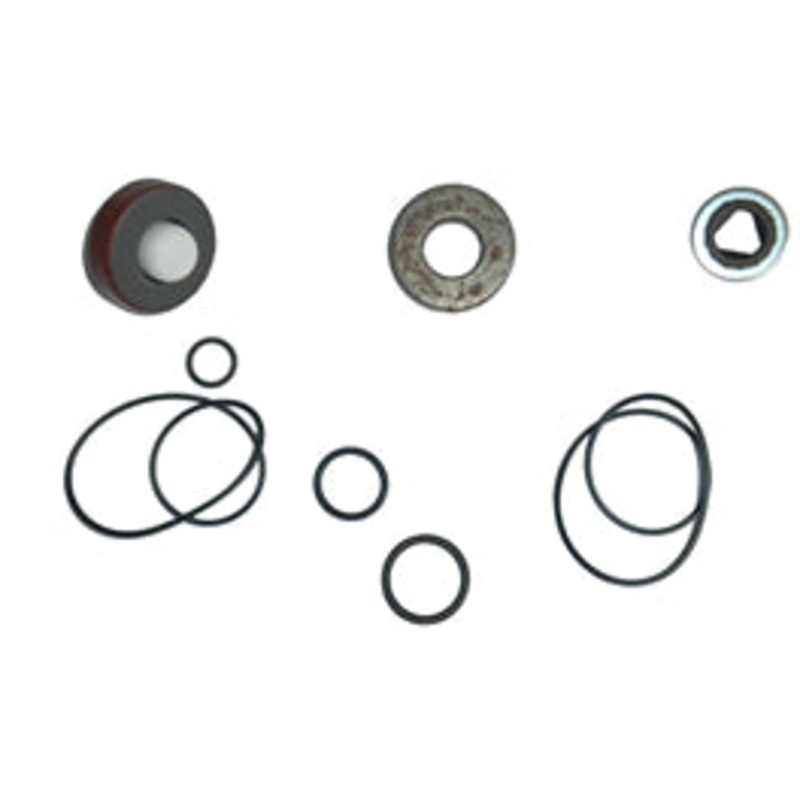 RK-BAC-75-HYD-300-L REPAIR KIT FOR 310 MOTOR WITH HIGH PRESSURE LIP SEAL