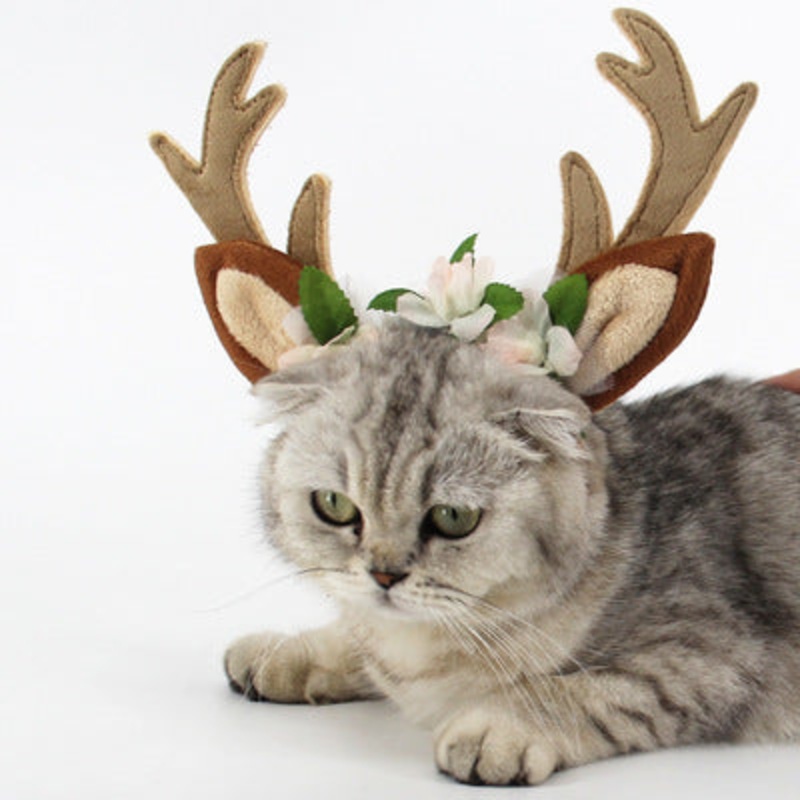 Christmas pet cat dog hat|Photo Color|S|M|L
