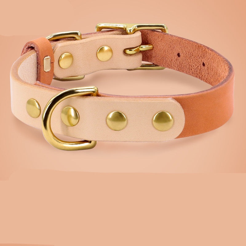 Leather cat collar|Orange Single collar|Rose red Single collar|Purple Single collar|Yellow Single collar|Green Single collar|S|M