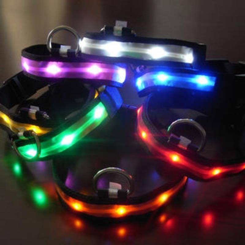 Size S Nylon Safety Flashing Glow Light LED Pet Dog Collar
