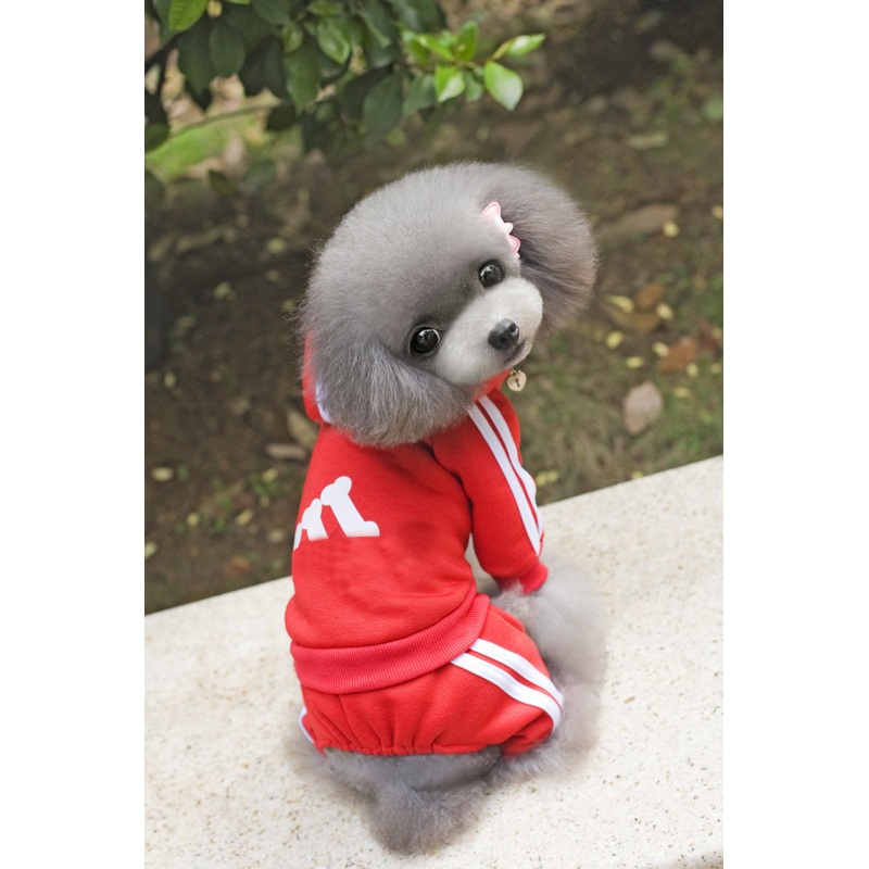 Teddy clothes dog hoodie|Red|Grey|Blue|Black|Pink|Yellow|S|M|XL|L|XS|XXL