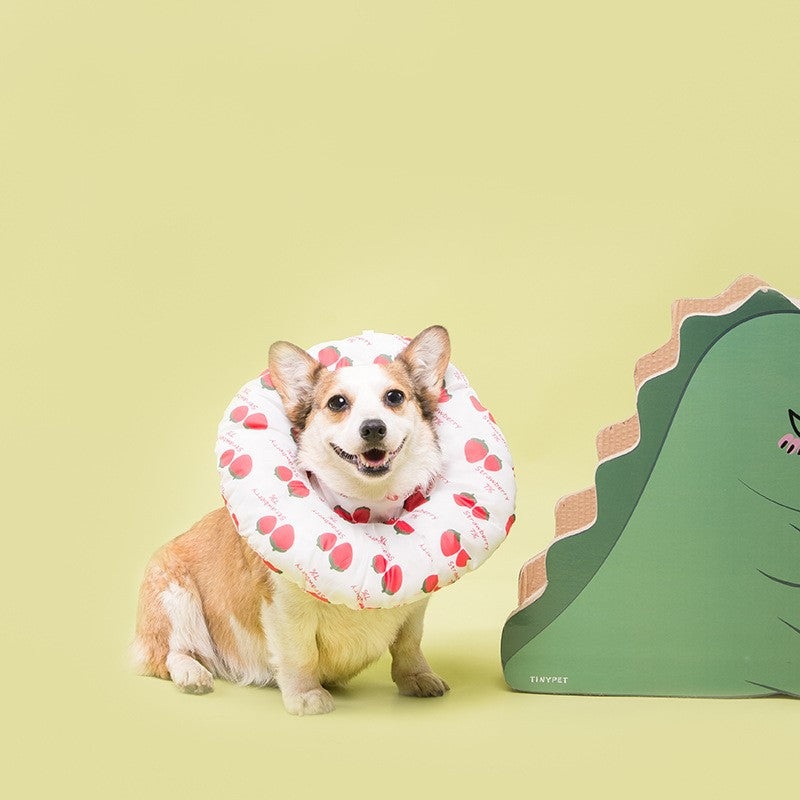 Dog cat bib head circle|Small strawberry|Egg bear|Yellow bear|Blue apple|Cookies|XL|3XL|XXL|S|L|M