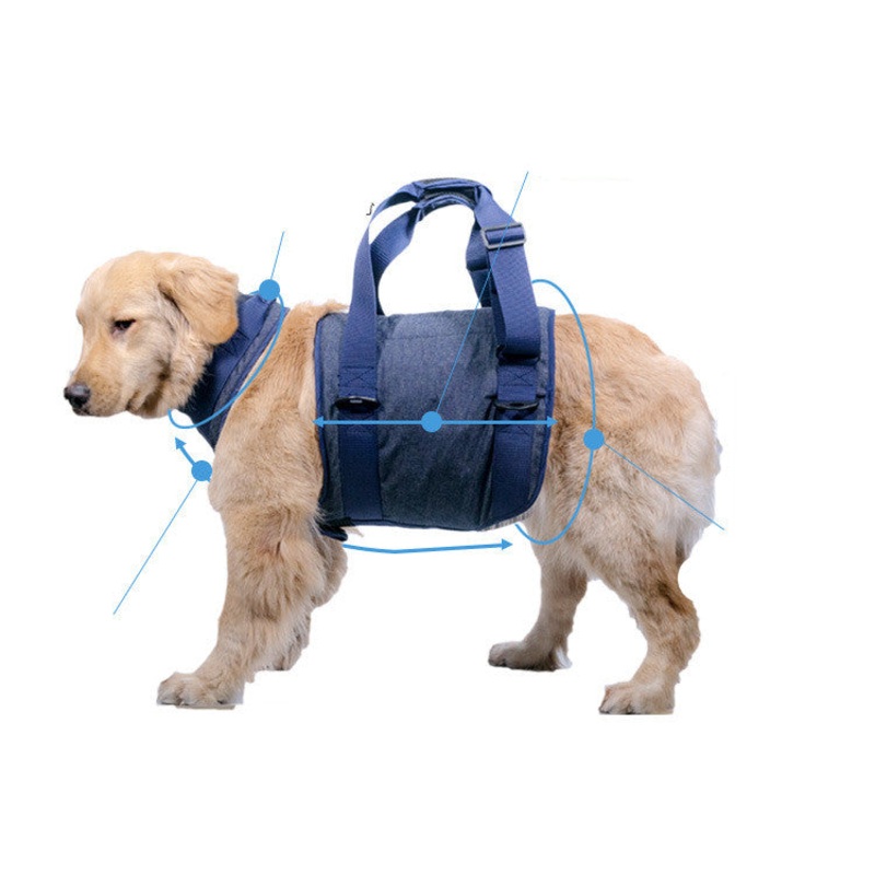 Pet dog leash|Dark blue|Pink|XL|L|M|S|XS