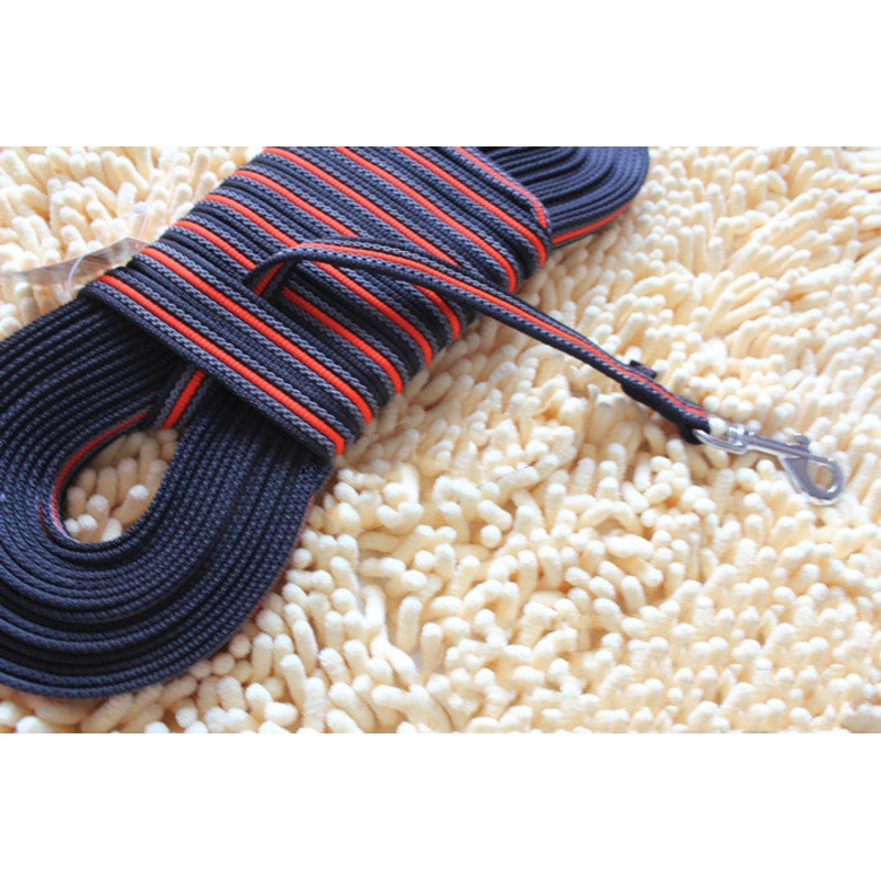 Professional dog training chain