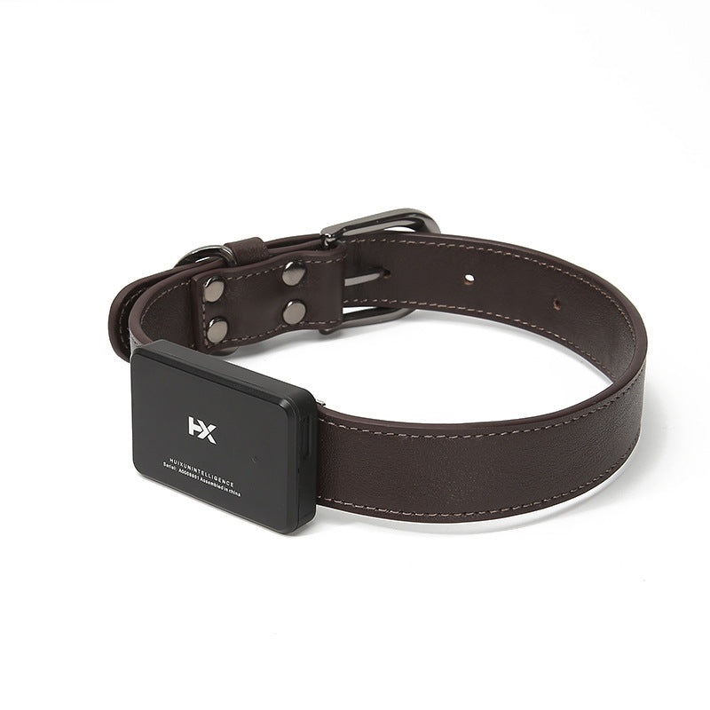 RY pet locator|Medium brown|Small nylon|Large brown|Large black|Medium black|Small black