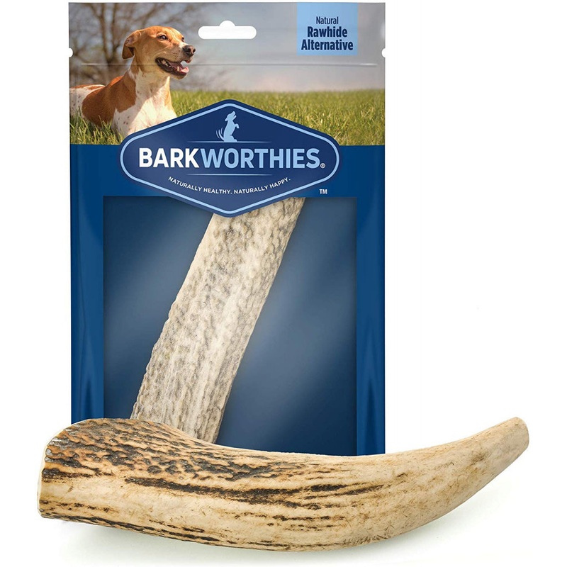 Barkworthies Whole Elk Antler Dog Chew for Large Breed Dogs