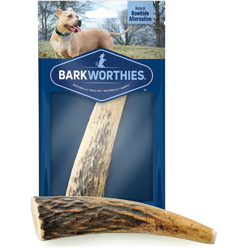 Barkworthies Whole Elk Antler Dog Chew for Small Breed Dogs