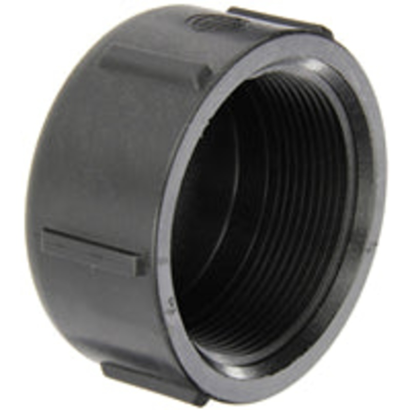 3 INCH FNPT  POLY CAP