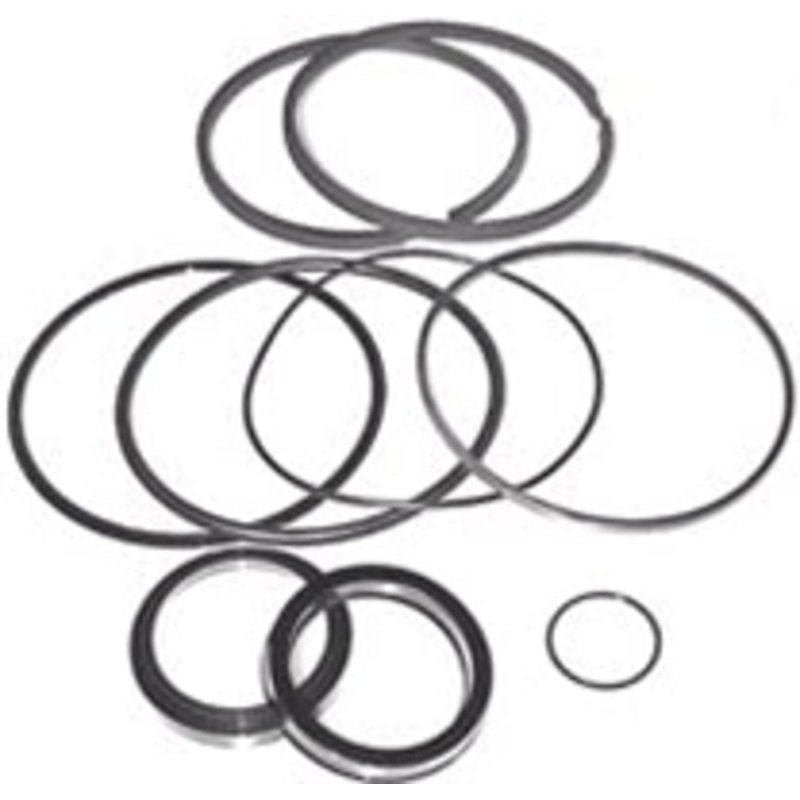 SEAL KIT-3” X 1-1/4 ROD GRIZZLY CYL