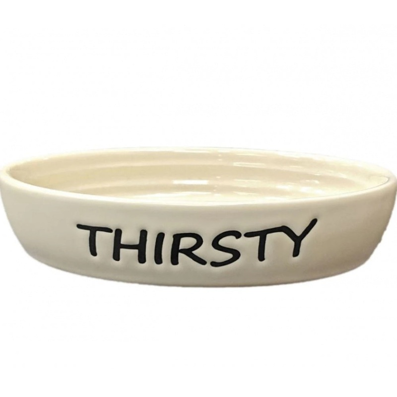 Ethical Pet Oval Thirsty Cat Dish