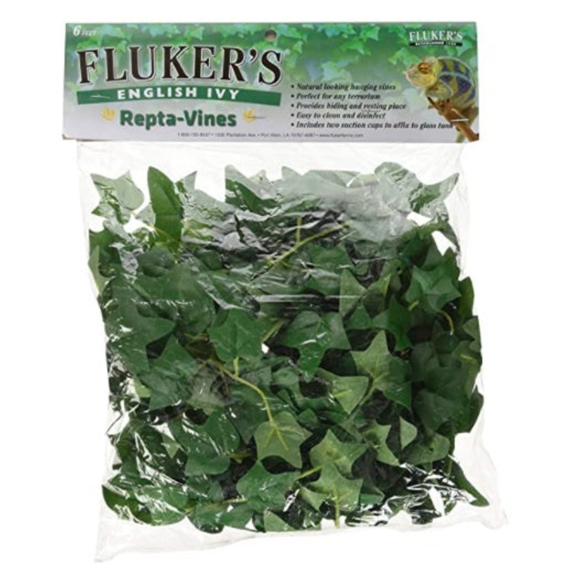 Fluker’s Repta Vines English Ivy
