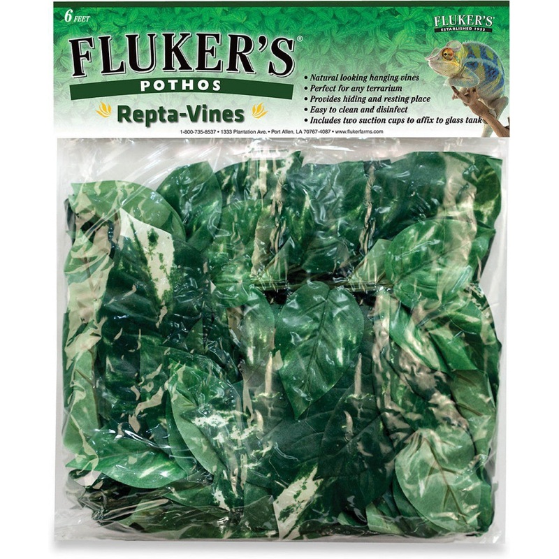 Fluker’s Repta Vines Pothos